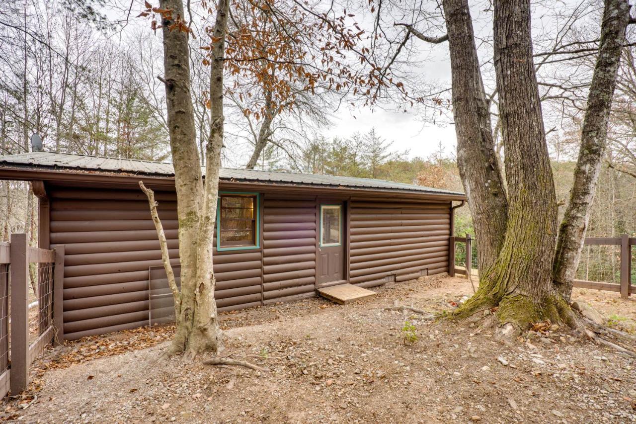 Peaceful Warne Cabin Fenced Yard And Screened Porch Brasstown Zewnętrze zdjęcie