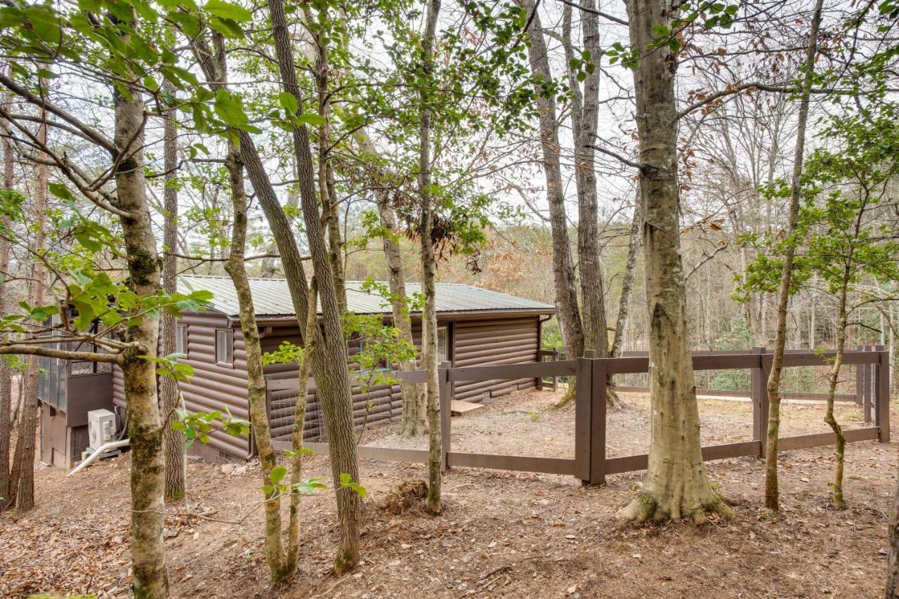 Peaceful Warne Cabin Fenced Yard And Screened Porch Brasstown Zewnętrze zdjęcie