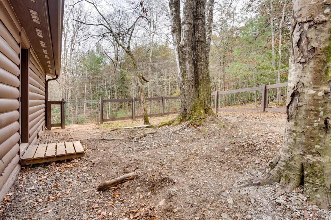 Peaceful Warne Cabin Fenced Yard And Screened Porch Brasstown Zewnętrze zdjęcie